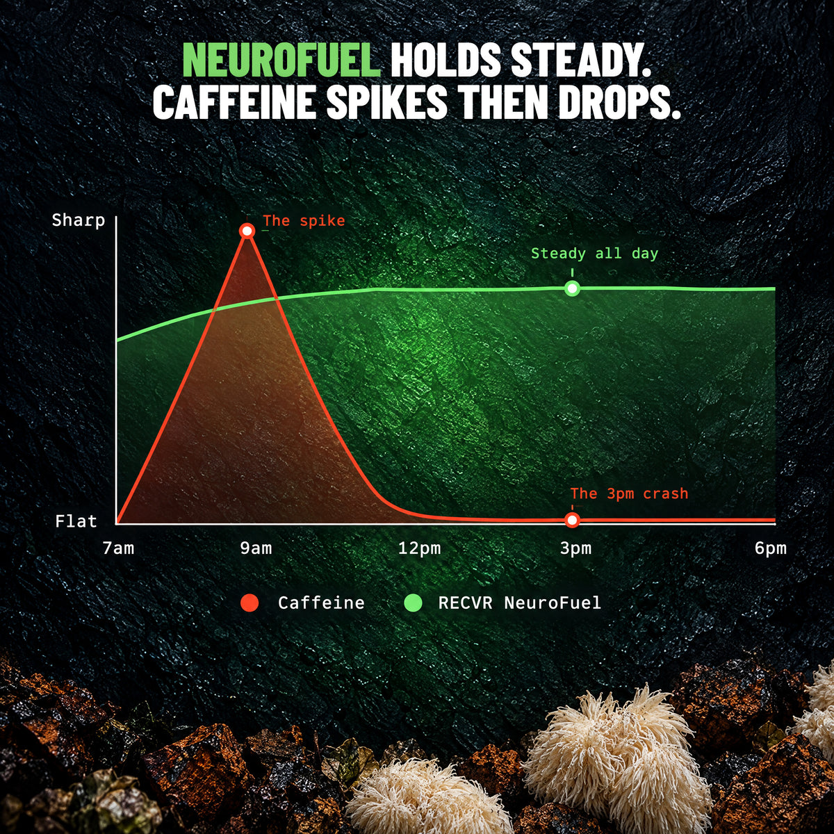 NeuroFuel holds steady. Caffeine spikes then drops